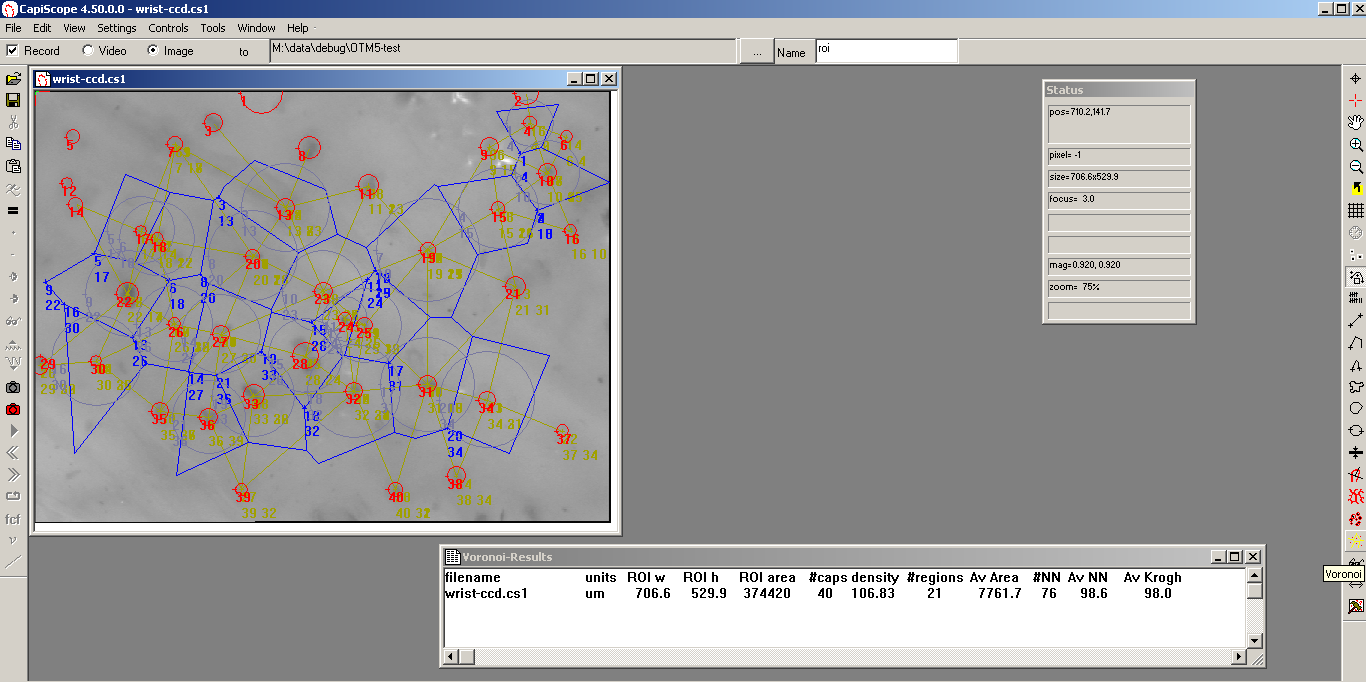 ../_images/voronoi450.png